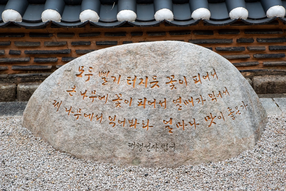 DSC_8952.jpg